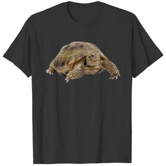 turtle schildkroete tiere animals7 T-shirt