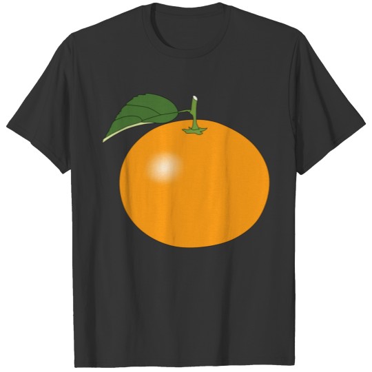 orange obst veggie gemuese fruits14 T-shirt