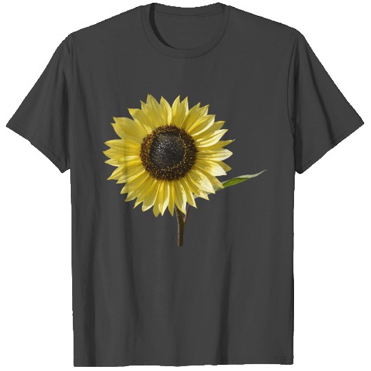 roses rosen iris blumen flowers tulpen tulips glad T Shirts