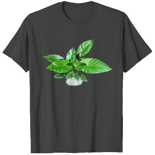 blumen flowers rosen roses garden garten3 T Shirts