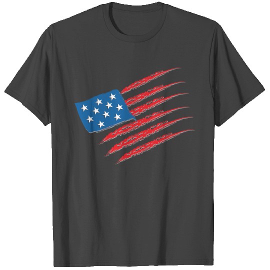 USA - Stars & Stripes T Shirts