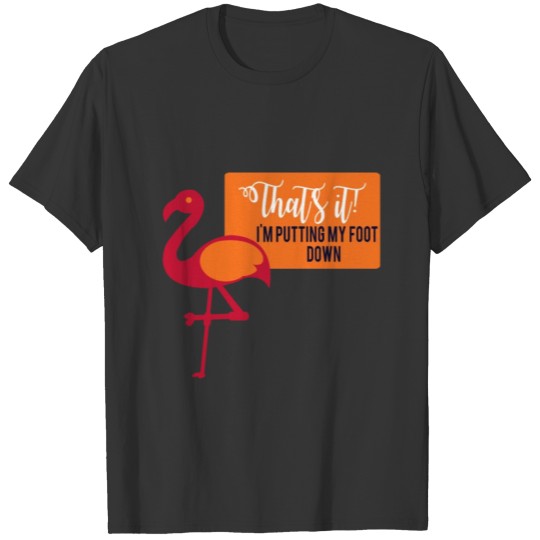that's it! I'm putting my foot down T-shirt