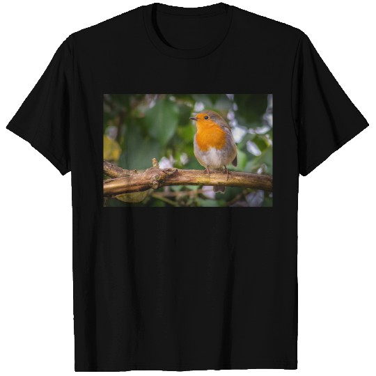 Robin T Shirts