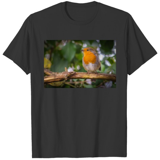 Robin T Shirts
