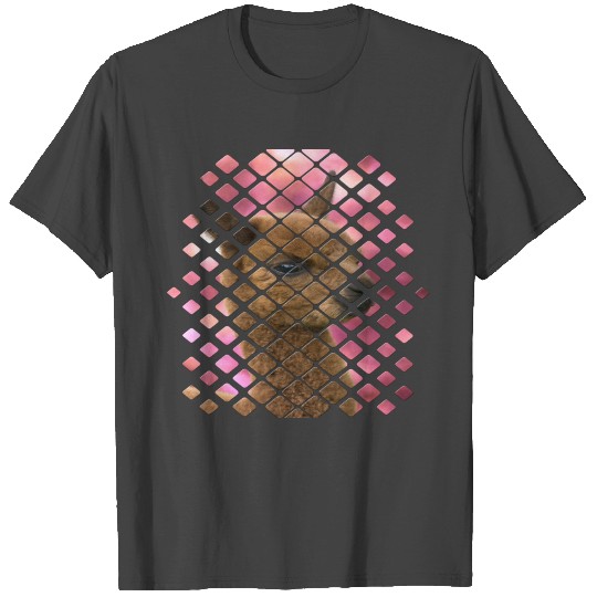 Alpaca T Shirts
