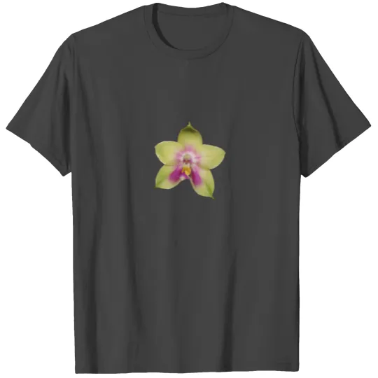 Phalaenopsis Orchid T Shirts