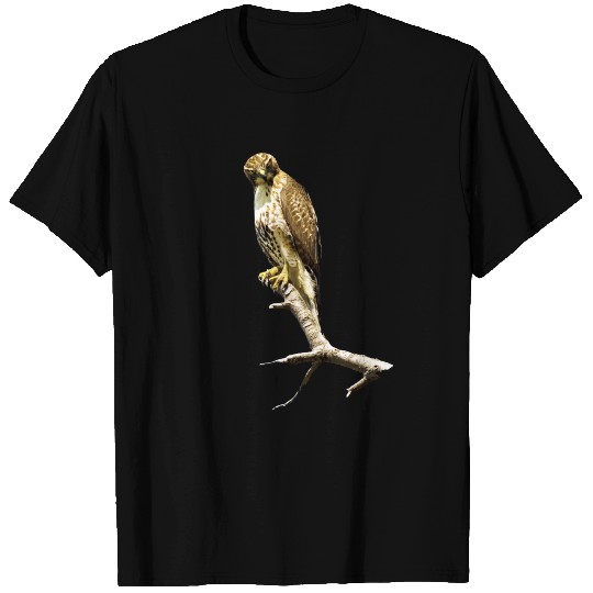 Red Tailed Hawk Perch T Shirts