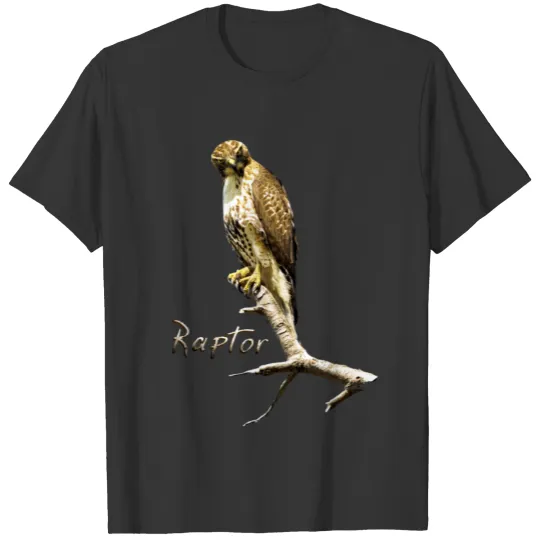 Raptor Like a Red Tailed Hawk T Shirts