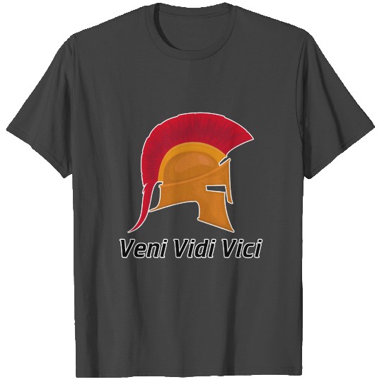 Veni Vidi Vici T Shirts Roman Ancient T Shirts Gift T Shirts