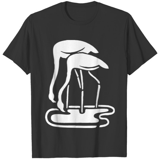 Flamingos T-shirt