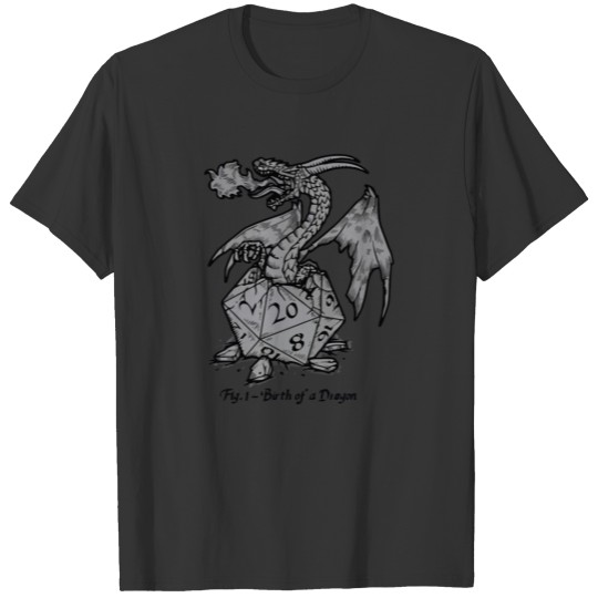 Birth Of A Dragon T-shirt