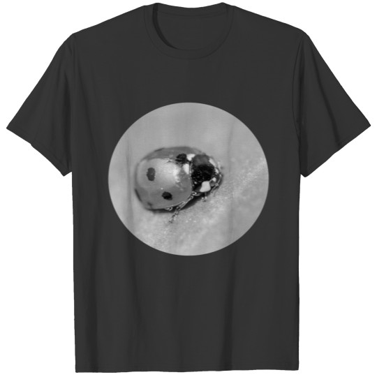 Ladybug in black and white T Shirts