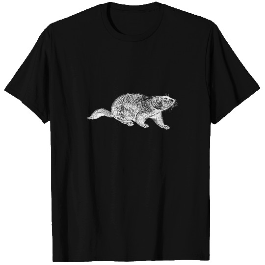 Groundhog Day Phil Punxsutawney Woodchuck T Shirts