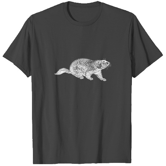 Groundhog Day Phil Punxsutawney Woodchuck T Shirts