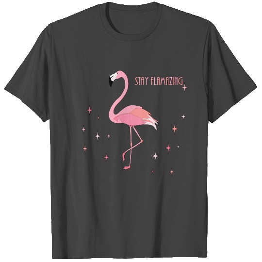 Stay Flamazing Flamingo Gift T Shirts