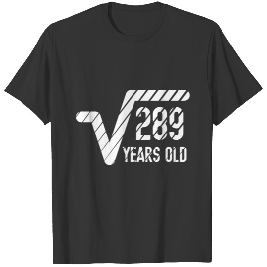Math 17th Birthday Gift T Shirts
