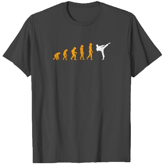 Evolution Of Karate Good T Shirts