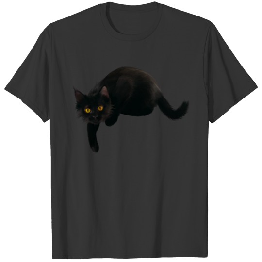 BLACK CAT HANGING OUT T Shirts