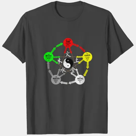 Tai Chi Gift T Shirts