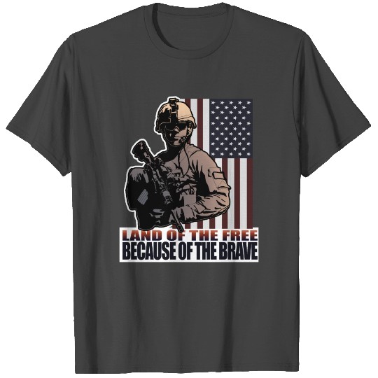 VETERANS DAY LAND OF THE FREE BECAUSE OF THE BRAVE T Shirts