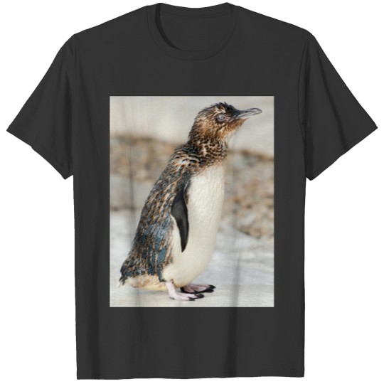 Little Penguin T-shirt