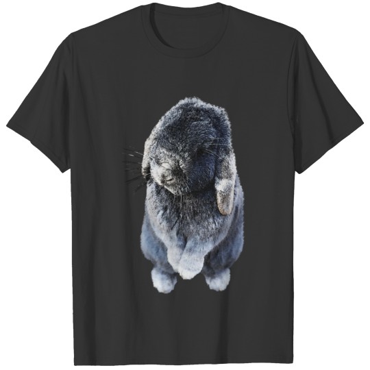 Hare with drooping ears, small animals, animals T Shirts