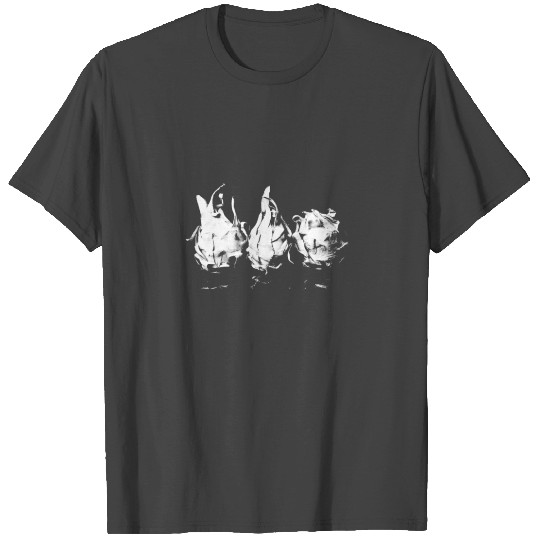 dragon fruit T Shirts