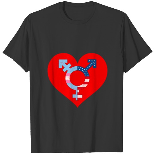 Transgender Day Tee Gay Pride Month Transgender T-shirt