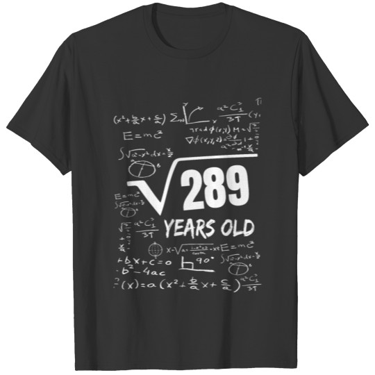 17th Birthday Math 289 Square Root years Old gift T Shirts