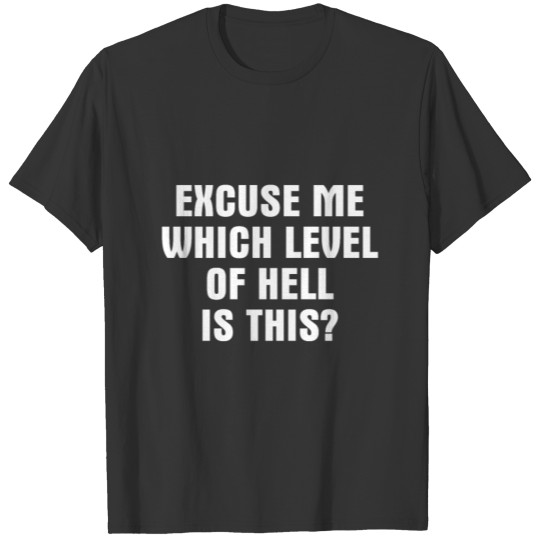 Excuse Me Which Level Of Hell Is This T-shirt