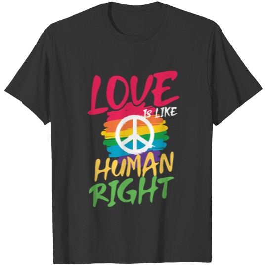 Love is is like Human Right | LGBT gender equality T-shirt