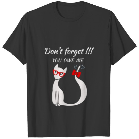 Don t forget you owe me T-shirt
