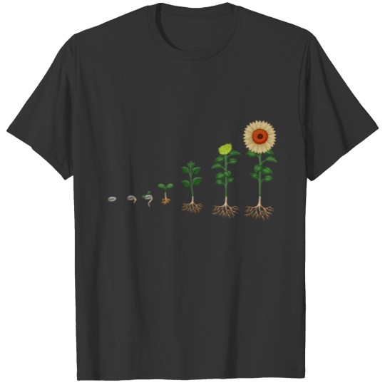 Sunflower Seed Evolution Biology Gift T Shirts
