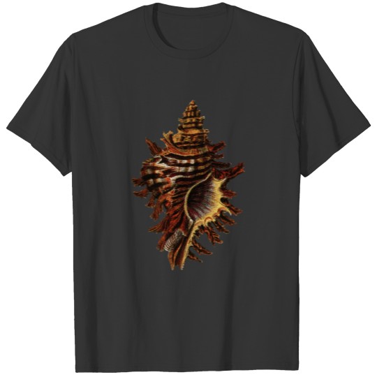 Retro shell vintage design T-shirt