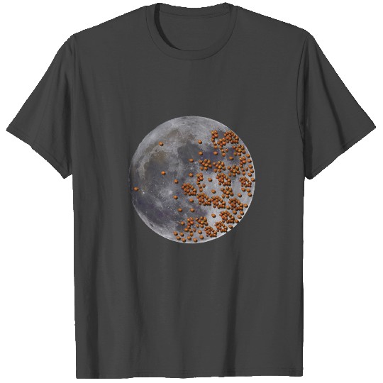 Moon ladybird beetle Art T Shirts