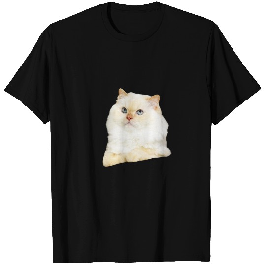 Soft Kitty T Shirts