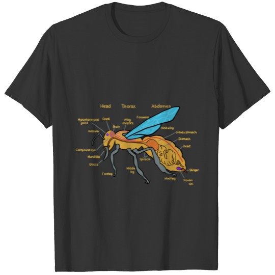 Bee Anatomy - Bees - Bee Biology - Anatomy of a Be T Shirts
