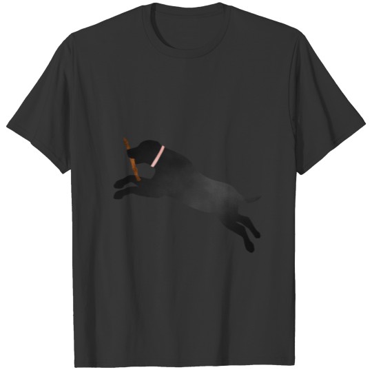 Labrador Retriever Fetch Play Ball Black Lab Dog L T-shirt
