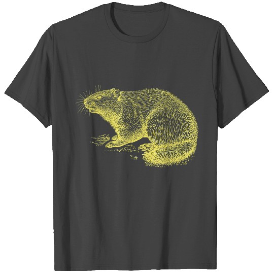 Funny Vintage Woodchuck Groundhog Day T Shirts