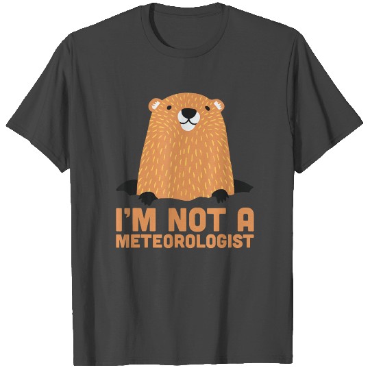 Im Not A Meteorologist Cute Groundhog Forecasting T Shirts