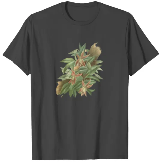 Orchid Botanical Illustration T Shirts