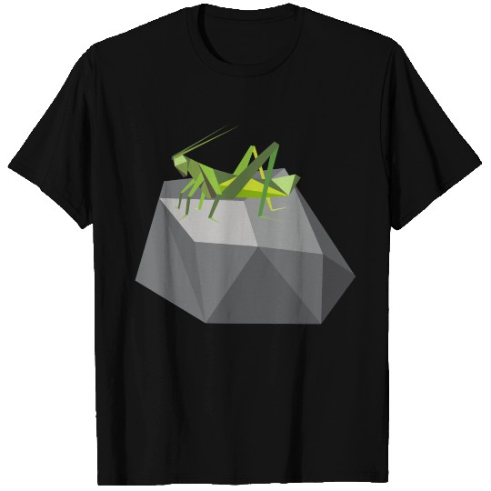 Grasshopper rock locusts bug insect entomology T Shirts