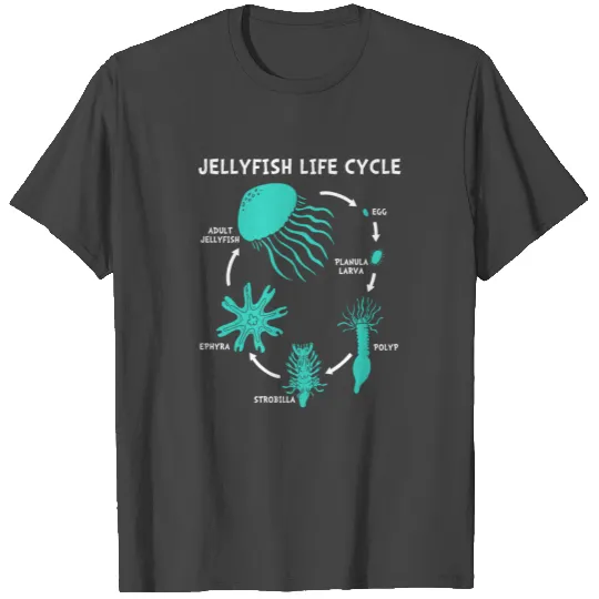 Jellyfish Life Cycle T Shirts