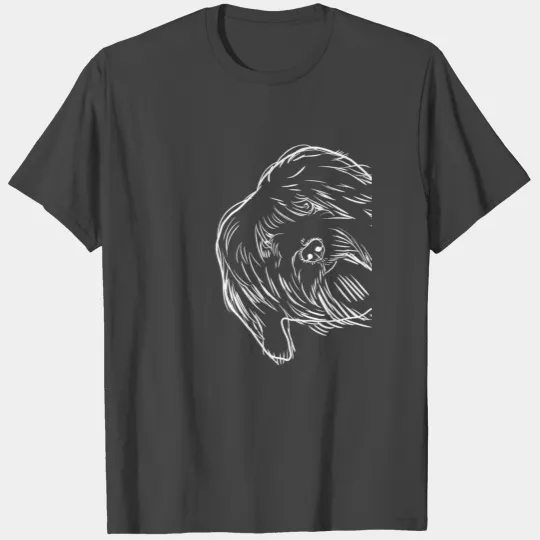Curious Tibetan Terrier Dog T Shirts