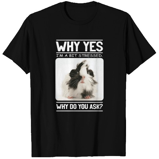 A Bit Stressed Funny And Joker Gift T Shirts
