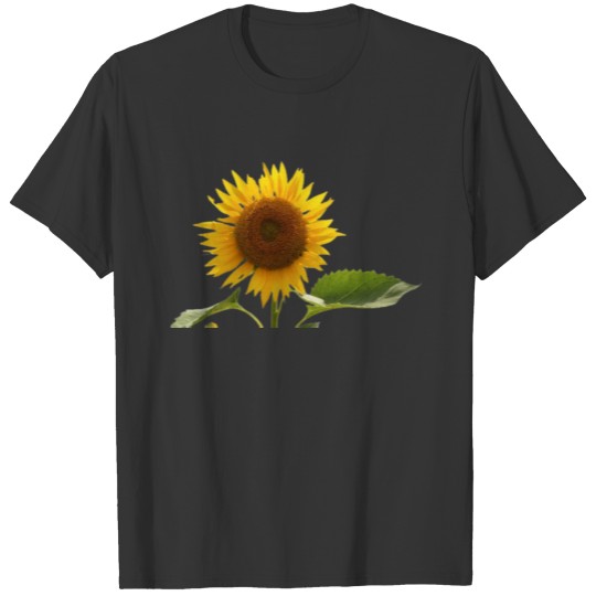 yellow sun flower T-shirt