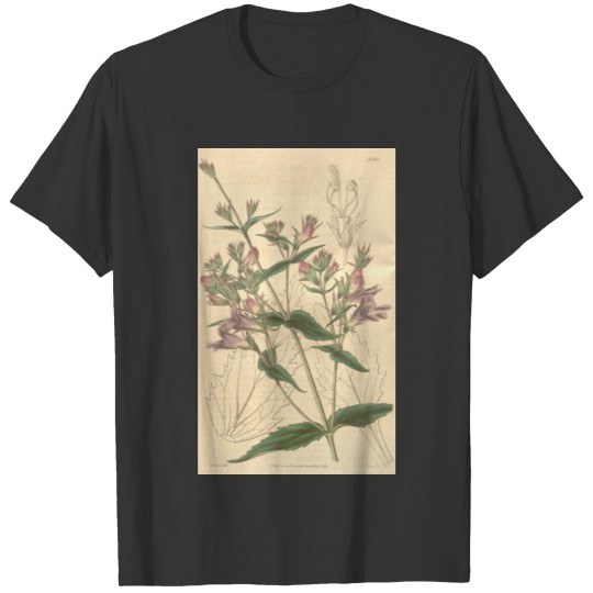 Curtis's botanical magazine (Plate 3645) ( T-shirt
