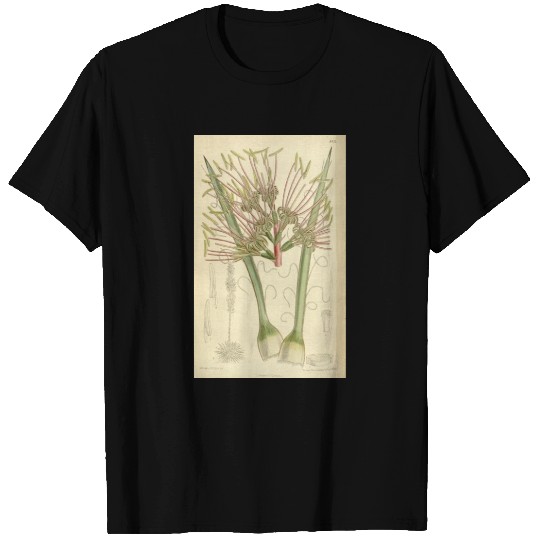 Agave disceptata 138 8451 T Shirts