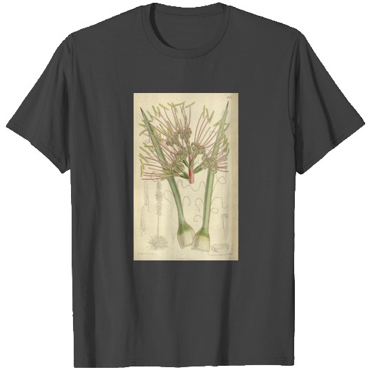 Agave disceptata 138 8451 T Shirts