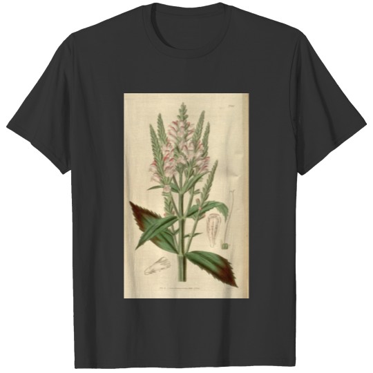 Curtis's botanical magazine (Plate 3386) ( T-shirt